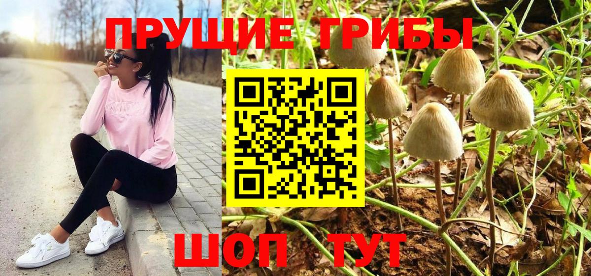 Галлюциногенные грибы Magic Shrooms  Вход с VPN  Морозовск 